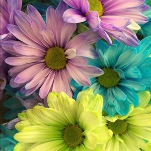 Meet your Posher, Monique